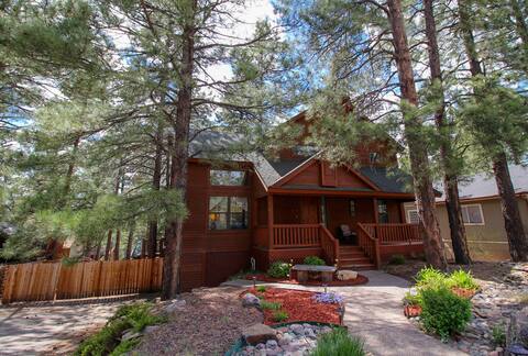 Dream Cabin in the Pines with A/C and HOT TUB!!