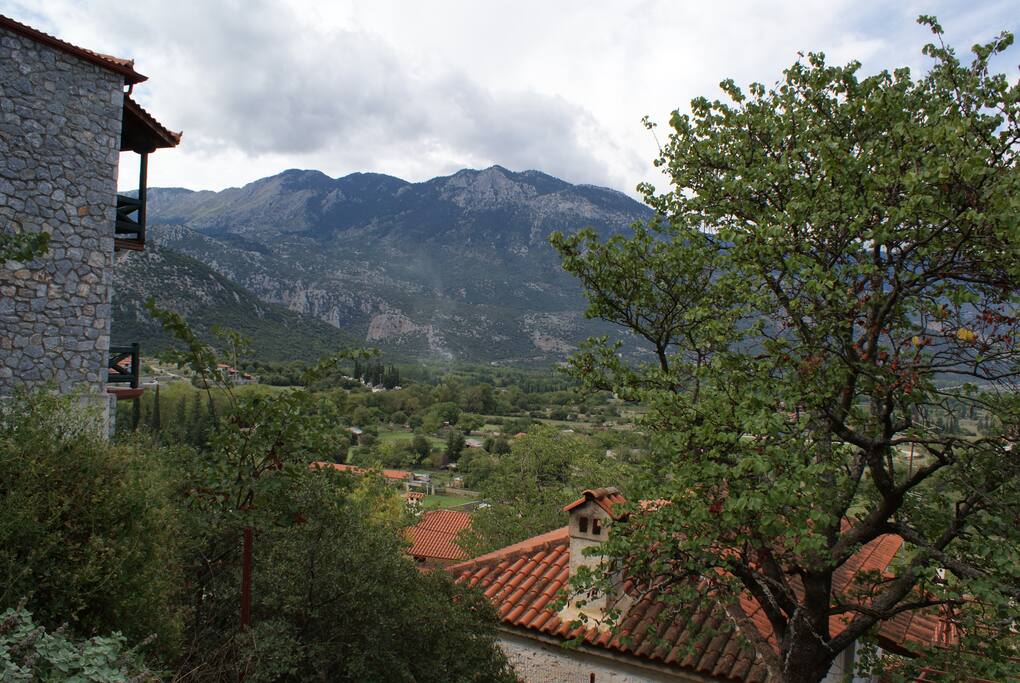 Θέα ανοιξιάτικη από το πλάι - View from the side.