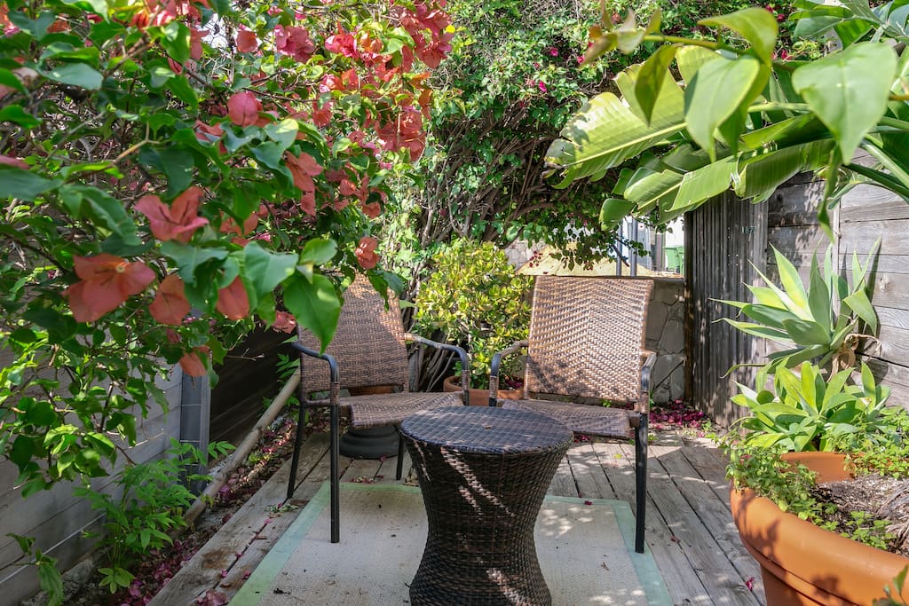 Outside the front door. Quiet and secluded seating area for two. Lush green plants and blooming Bougainville.
