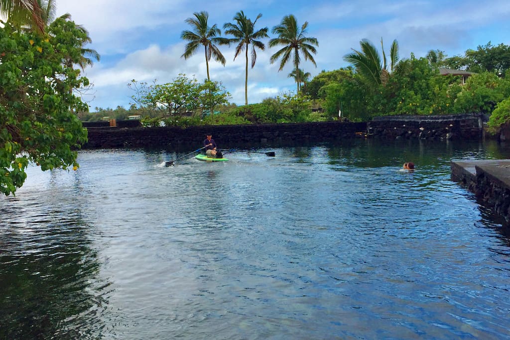Champagne Pond - where you can often swim with green sea turtles - is just across the street.
