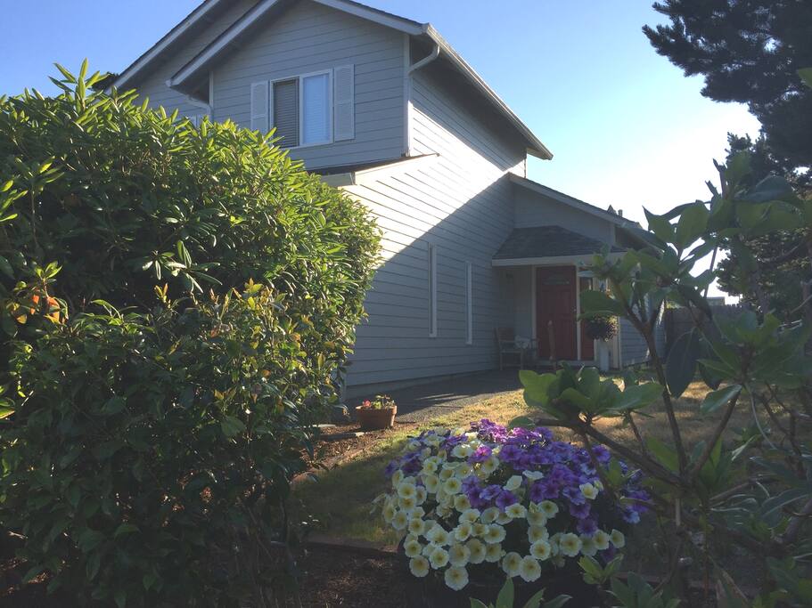 Street view of the house