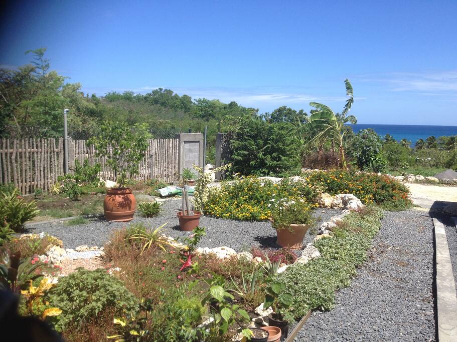 jardin du domharry