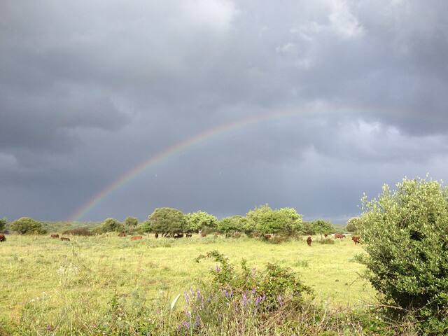 Casa mare e montagna
