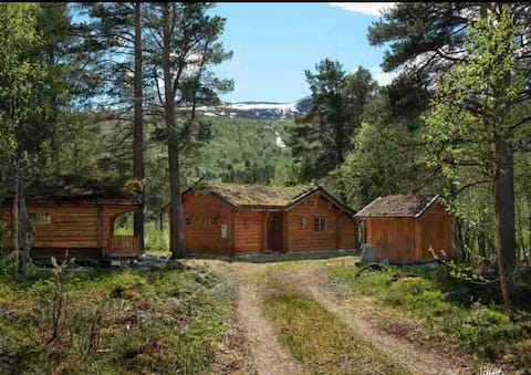 Cozy mountain cabin for rent
