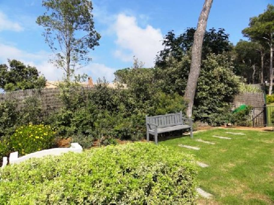 Back garden