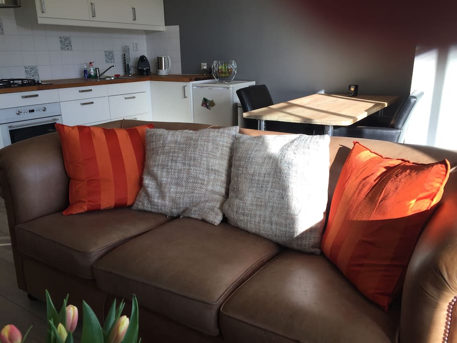 Couch & kitchen