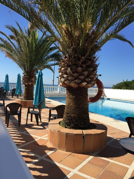 Swimming pool.