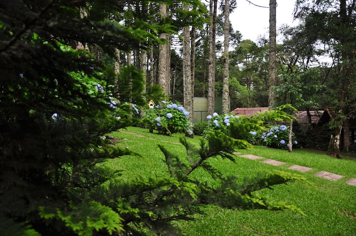 Chalé Cedrus Libani