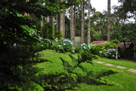 Chalé Cedrus Libani