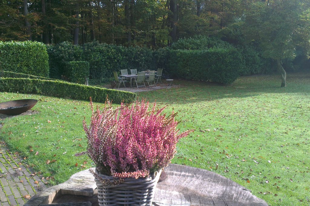 Back garden