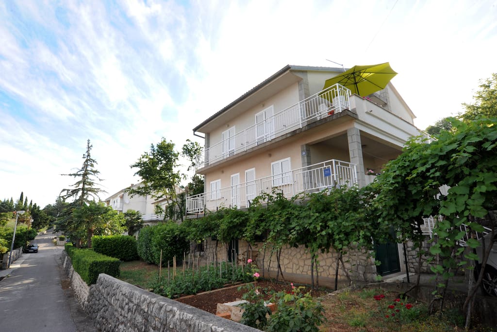 The house