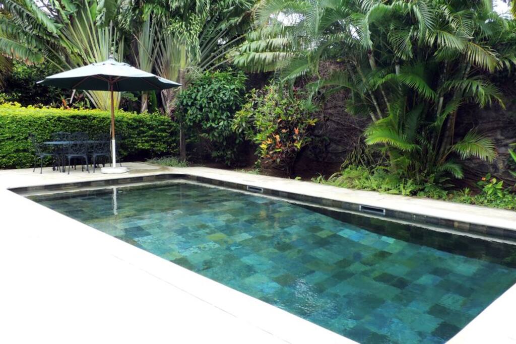 Swimming Pool & Deck
