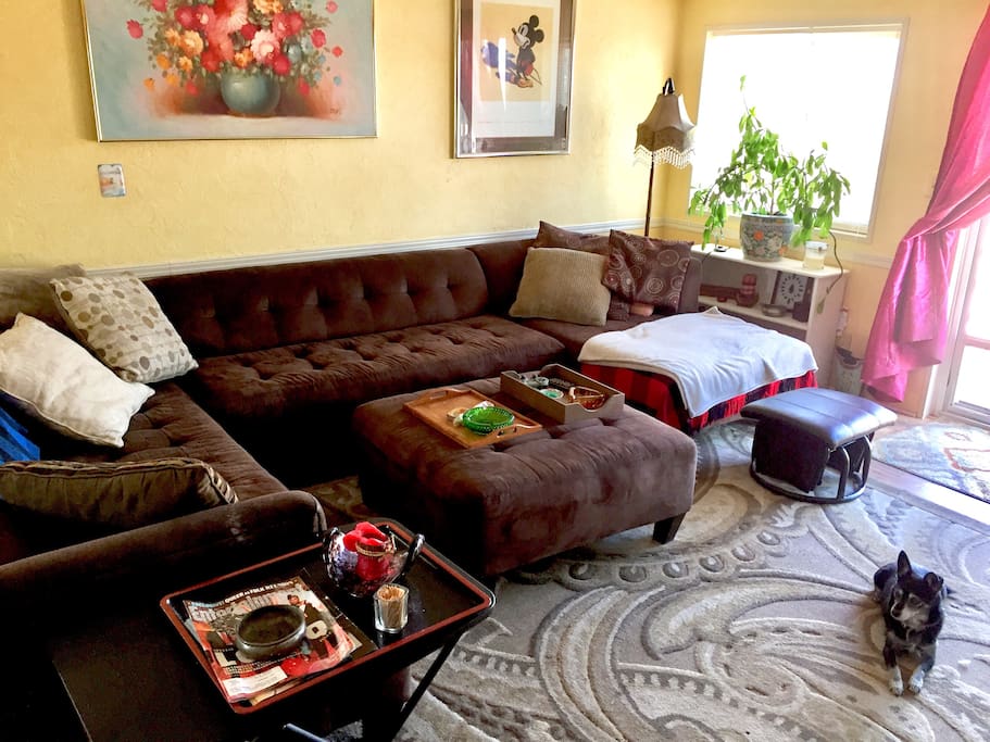 Living room with sectional couch and my dog, Pepper
