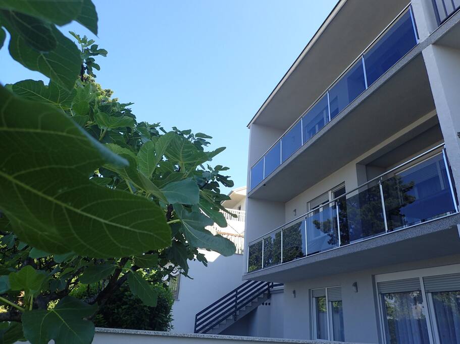 House front