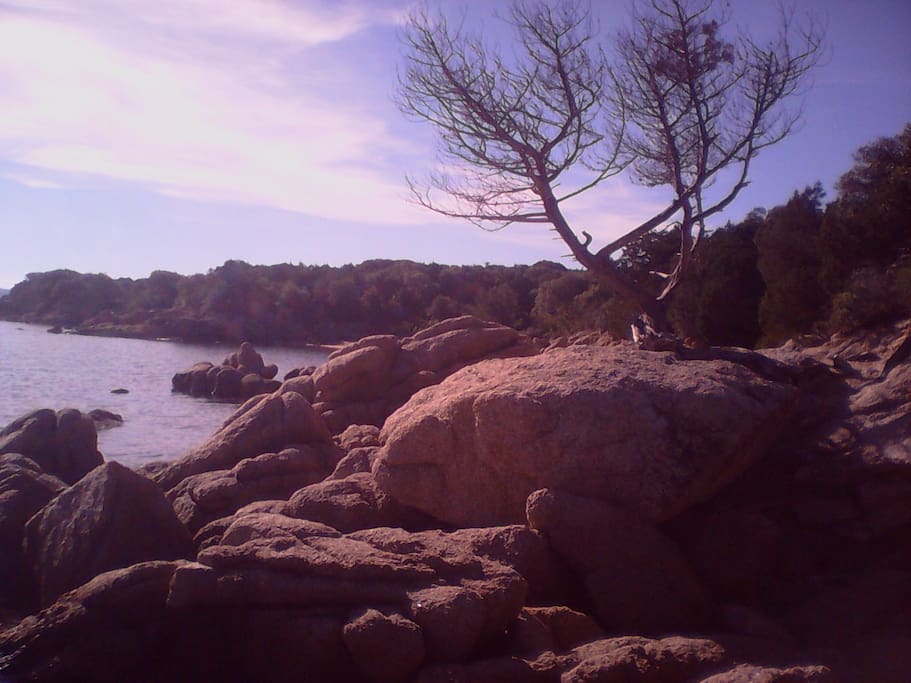 PLAGE A PROXIMITE