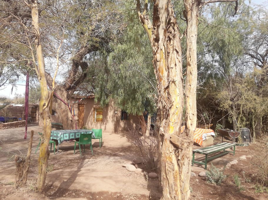 patio