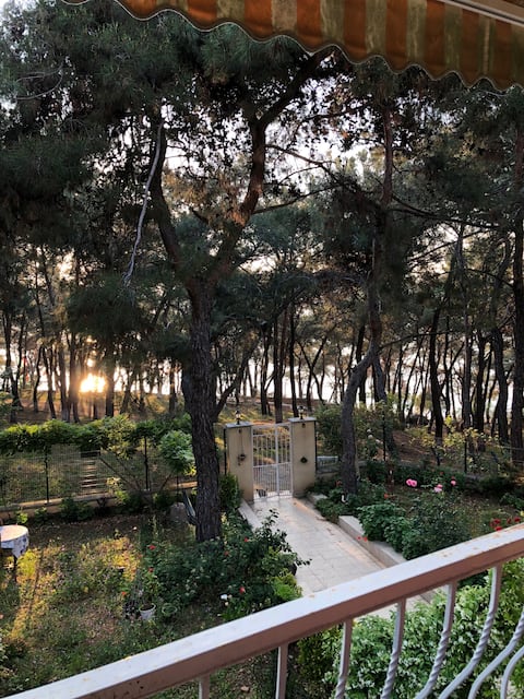 Apartment with heating and fireplace in Heybeliada