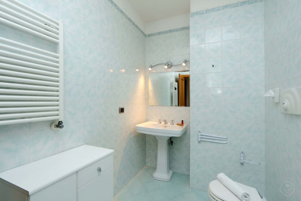 The bathroom houses a washbasin, toilet and a shower. Extra amenities within the dwelling include a washing machine and iron.