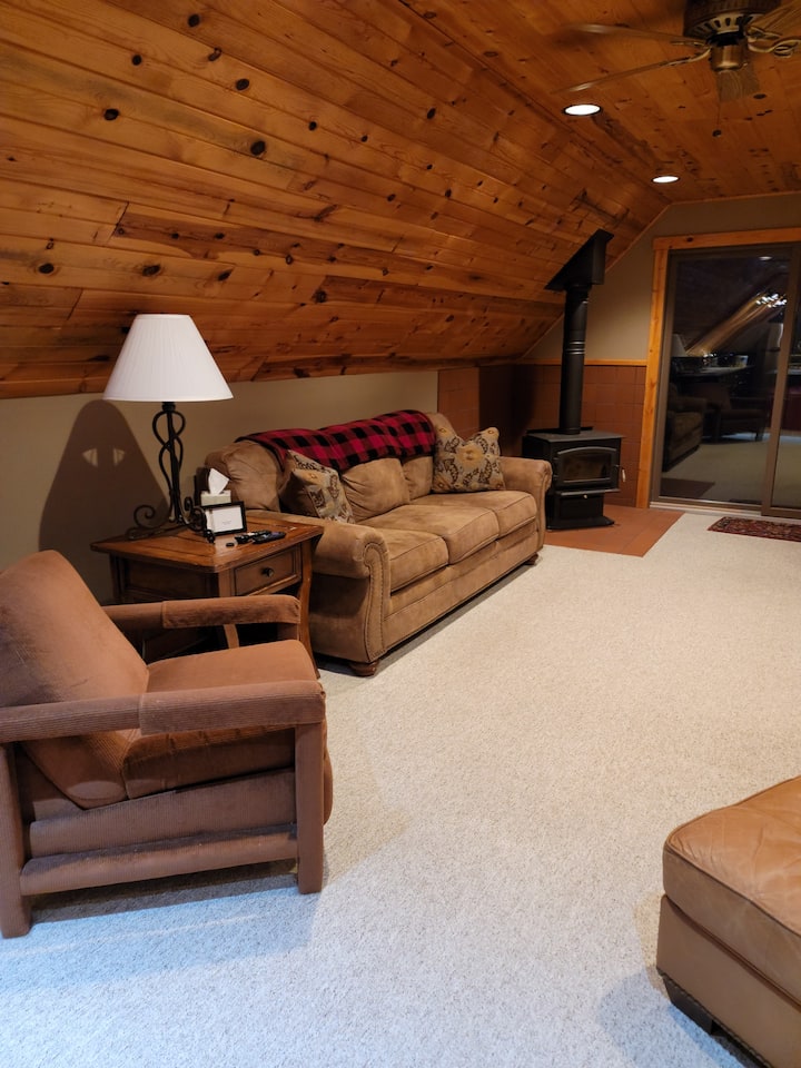 Queen sofa bed in living room.