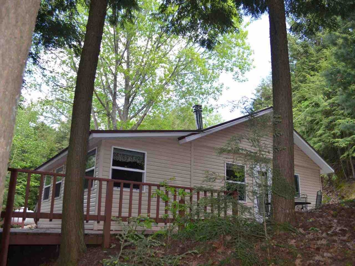 The cabin is nestled among tall trees, showcasing a light-colored exterior with multiple windows. A deck with a railing is visible in the foreground, providing a connection to the surrounding nature. Lush green foliage and sunlight filtering through the leaves enhance the setting.