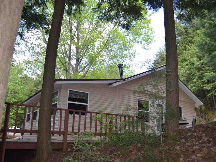 Pickerel Lake Cabins For Rent