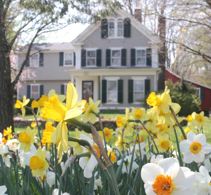Springtime in Sherborn