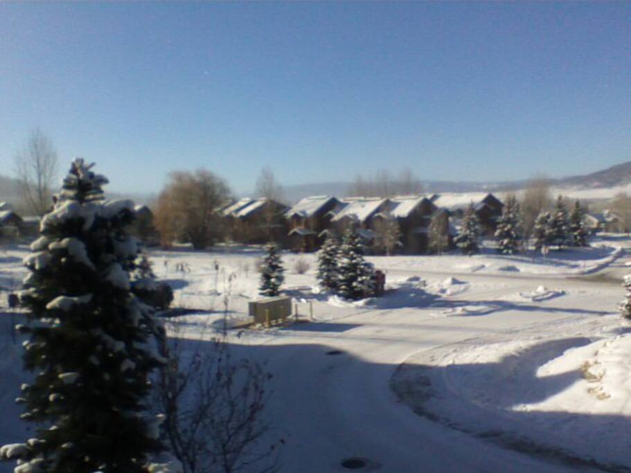 Quiet, residential neighborhood, bus a 1 min. walk away