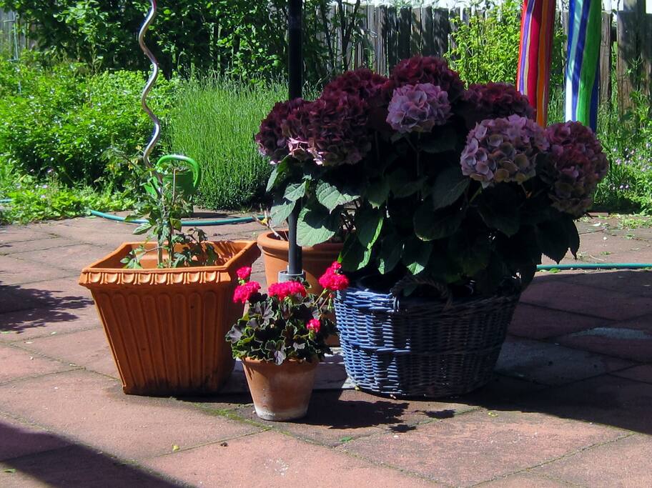 Terrasse