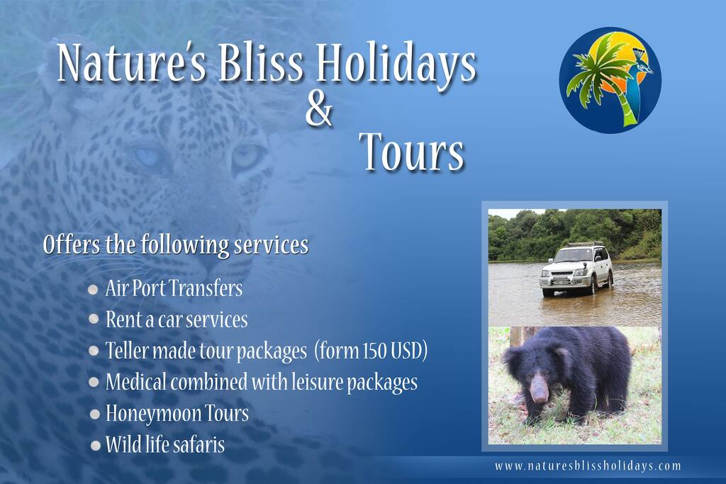 Exclusive other services on Offer