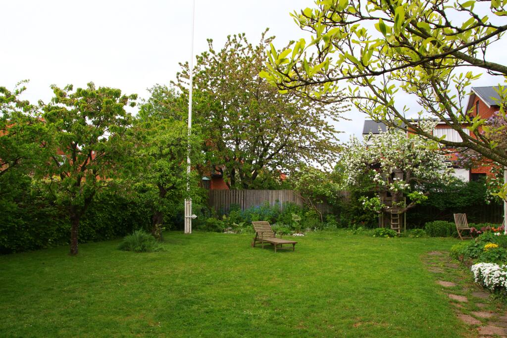 Another view of our garden