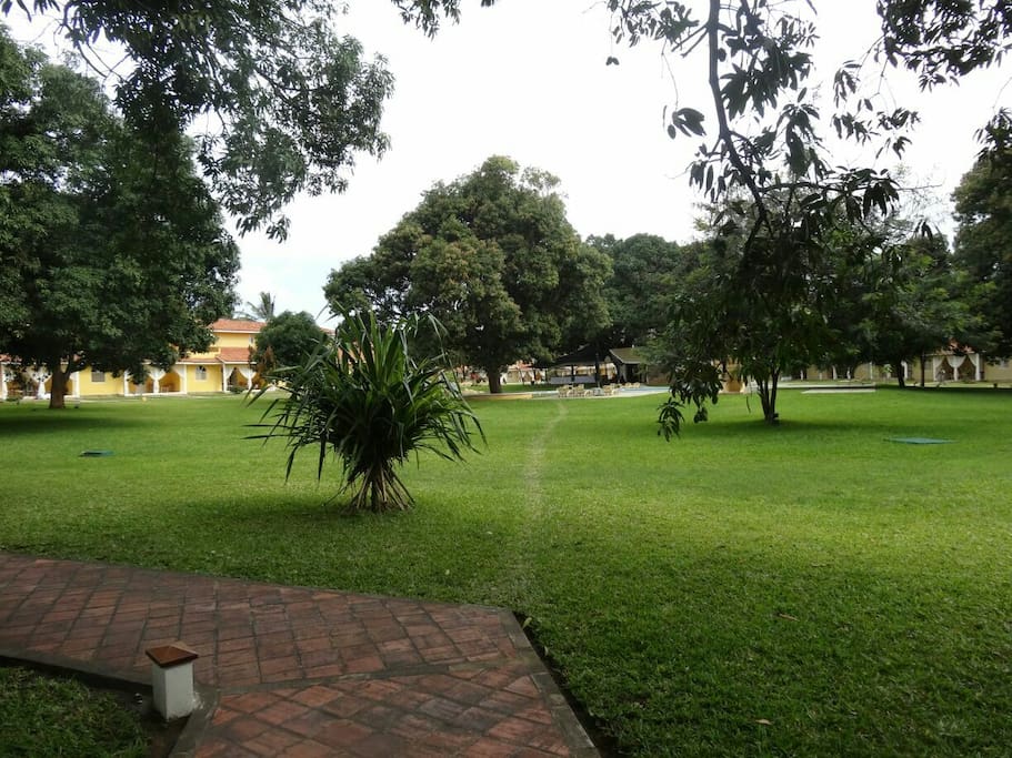 The lush compound.