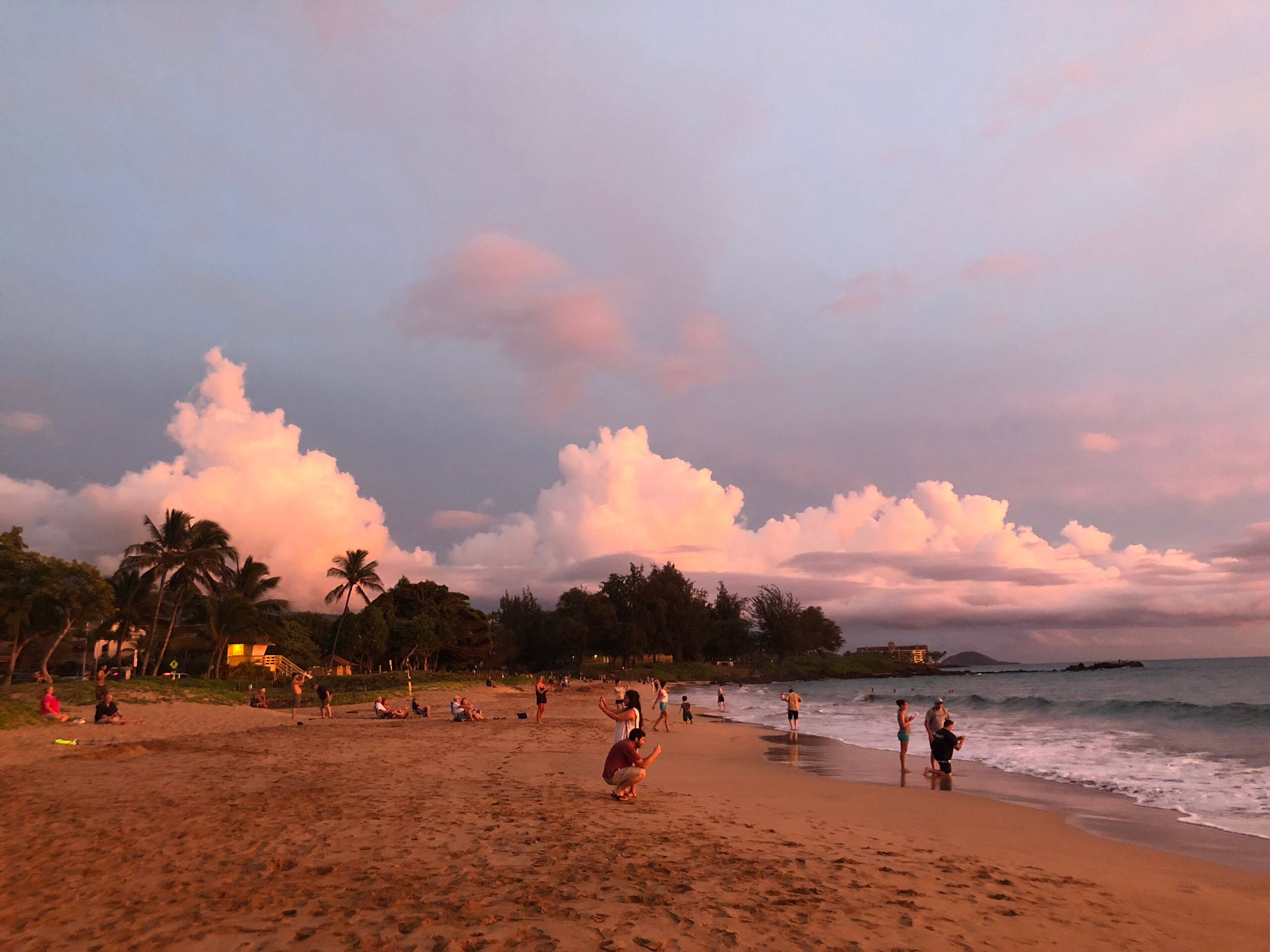 Condo in Kihei · ★4.9 · 1 bedroom · 1 bed · 1 bath - Image 47