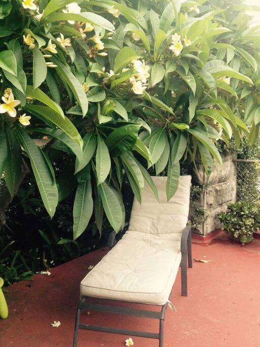 The patio