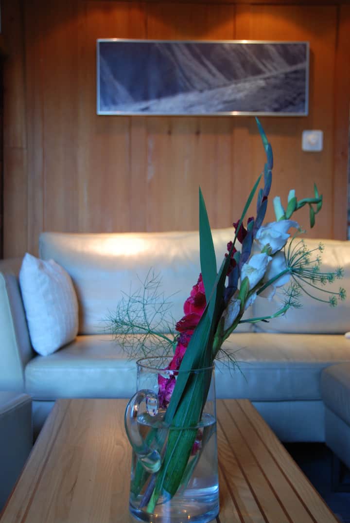 Chalet Oltschi, Axalp - Brienz