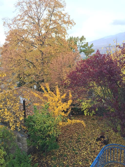 Otoño 2018,