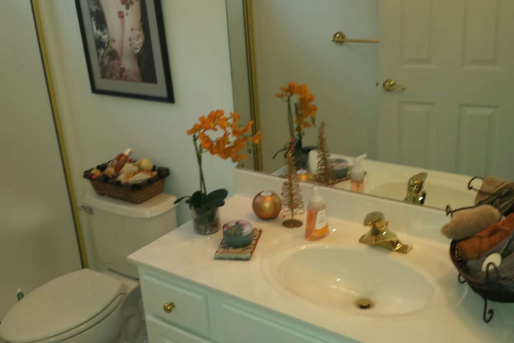 full bathroom with walkin shower..towels and washcloths provided..along with shampoo and body wash... Area is shared with other guest