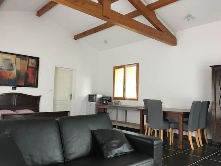 Приватна главна соба со TNT-SAT и wifi