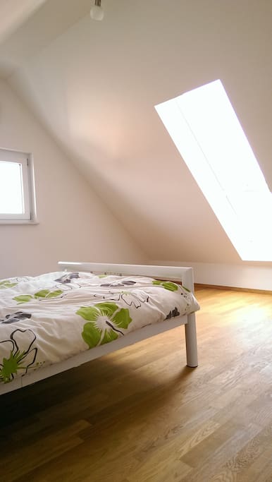Der zu vermietende Bereich im 2. Stock