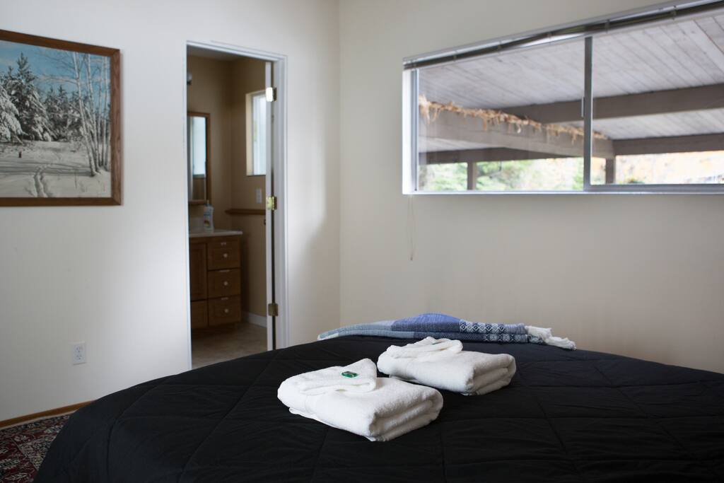 Lots of natural light and a view of the garden from the second bedroom