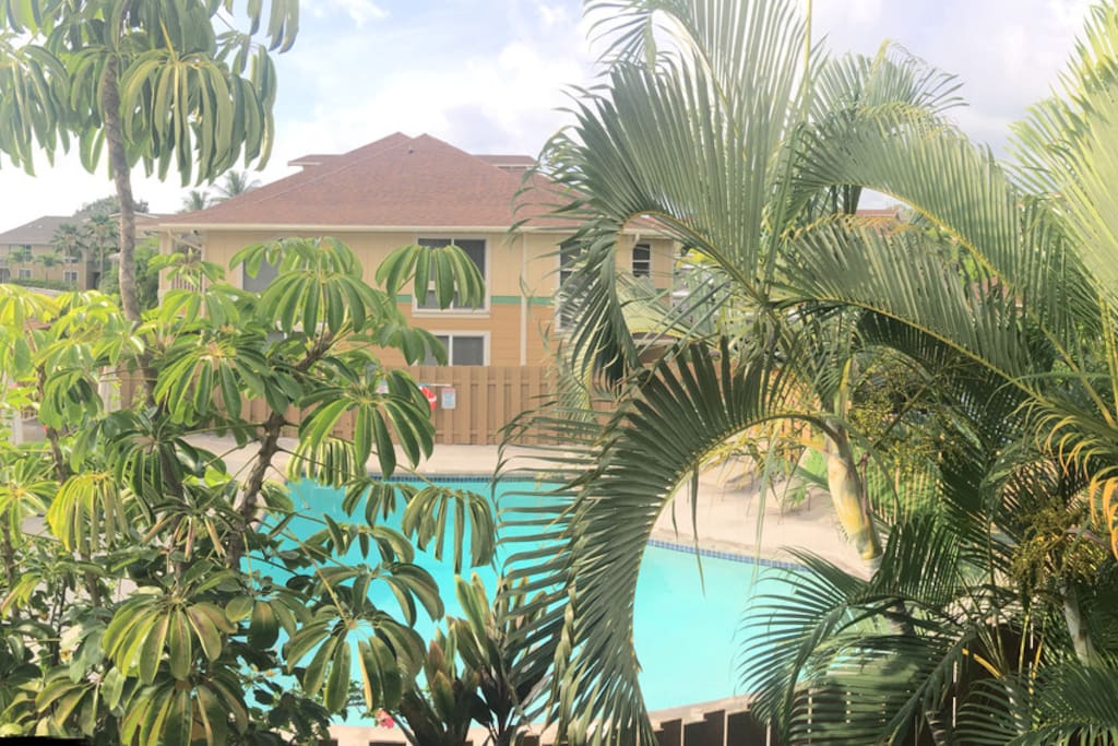 View from Lanai.