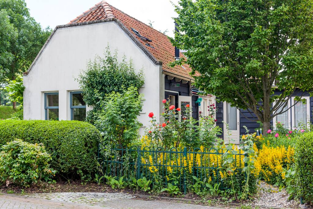 Achtertuin