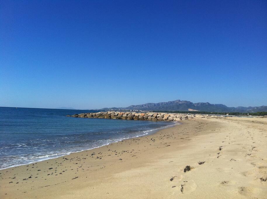 arena blanca
