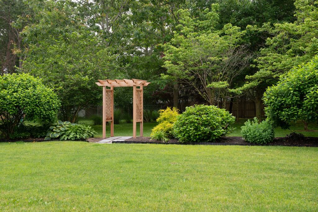 Back yard