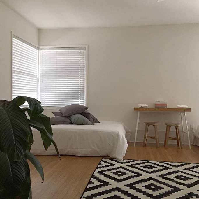 (Plants have been removed due to failure to thrive.)