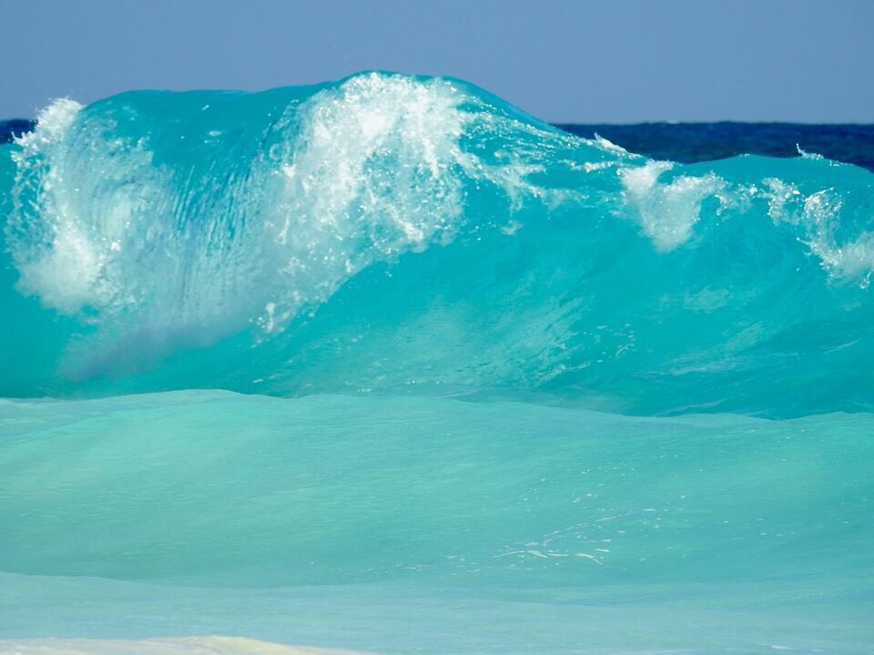 A vibrant wave curls in shades of turquoise, captured in motion against the deep blue sea. The sunlight reflects off the surface, creating a shimmering effect that contrasts with the tranquil, lighter hues below.