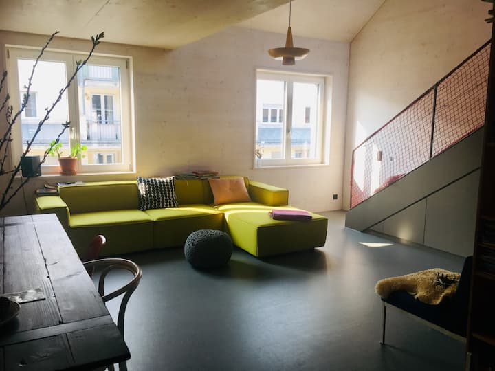 Central & large 4 rooftop rooms with terrace+balcony Flats for Rent in Freiburg im Breisgau