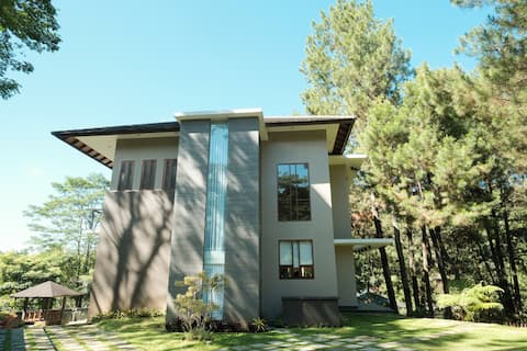 Spacious Pine Forest Villa for MAX 15 guests