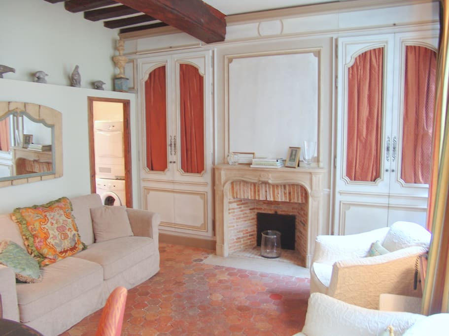 Cozy Living Room! Sofa is a fold-out queen size bed couch
