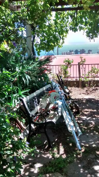 Vista desde jardín