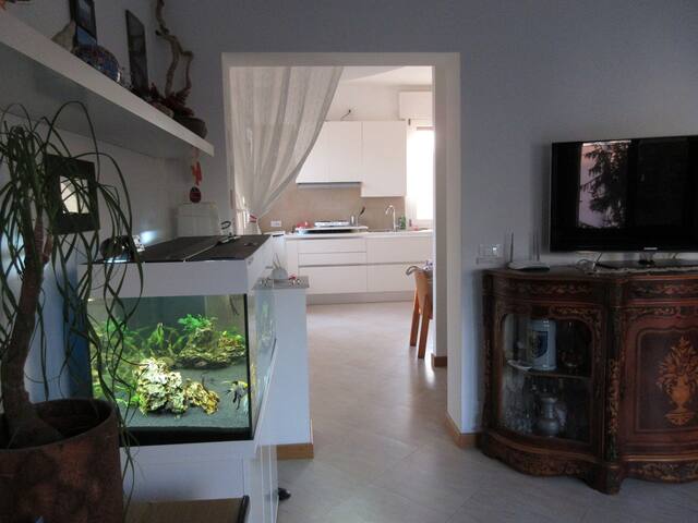Nice and quiet apartment near the Venice Festival gallery image 3